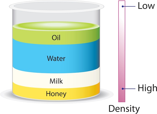 density of liquids from honey and milk with high density to water and oil with low specific mass.