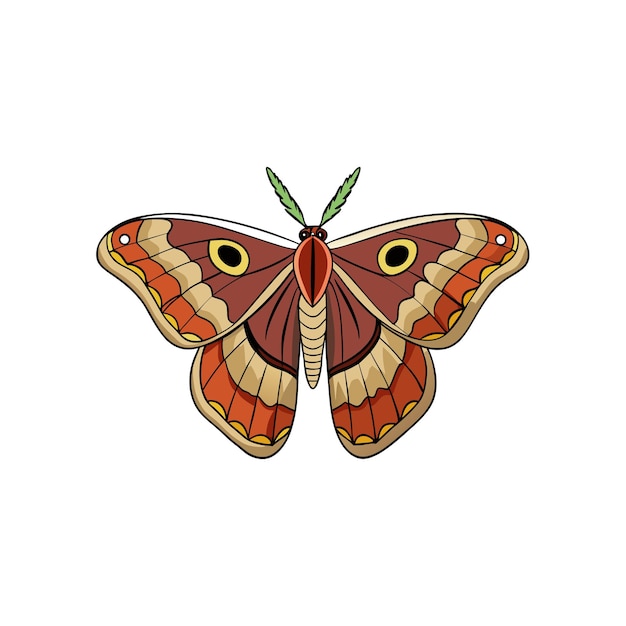 detailed illustration of a colorful moth with intricate wing patterns
