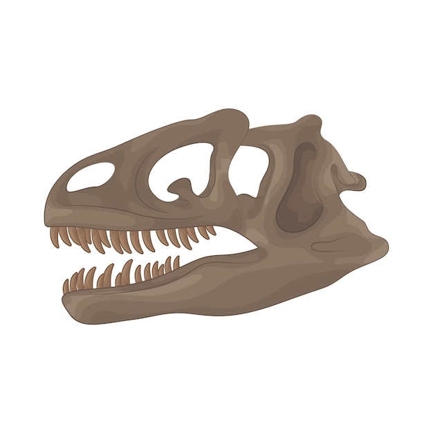 dinosaur skull