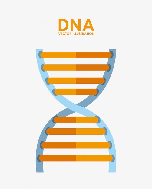 dna design 