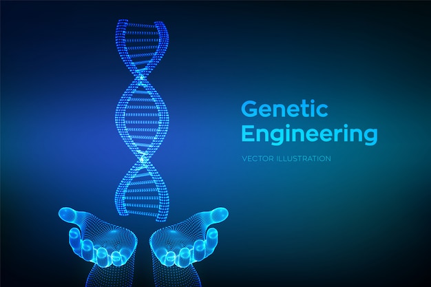 DNA-sekvenssi käsissä. Lankakehys DNA-molekyylien rakenneverkko.