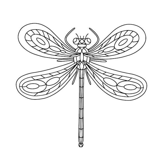 Dragonfly coloring book linear illustration