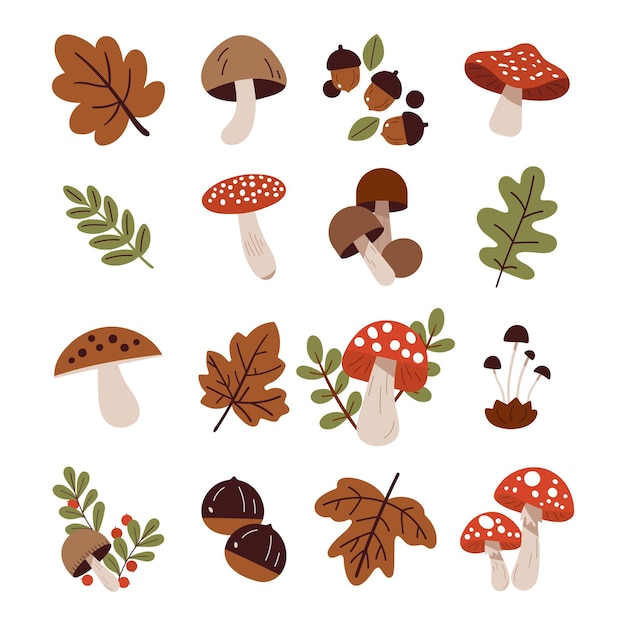Edible and poisonous forest mushrooms Woodland fungus with leaves