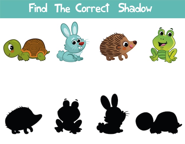 Find the correct shadow Educational game for children Vector illustrations for children