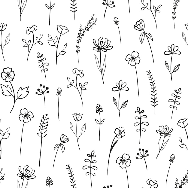 Floral monochrome seamless pattern with line wildflowers Doodle outline plants on white