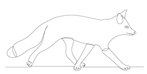 fox drawing by one continuous line vector