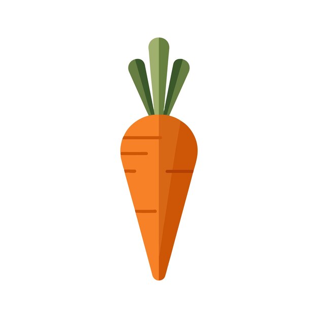 Fresh Orange Carrot Illustration