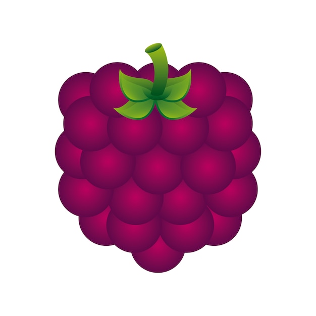 fruit design  over white background vector illustration