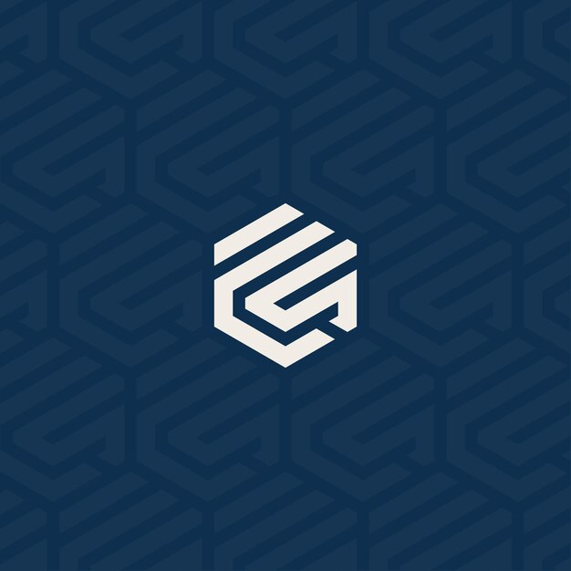 FS or FCS logo with background pattern design
