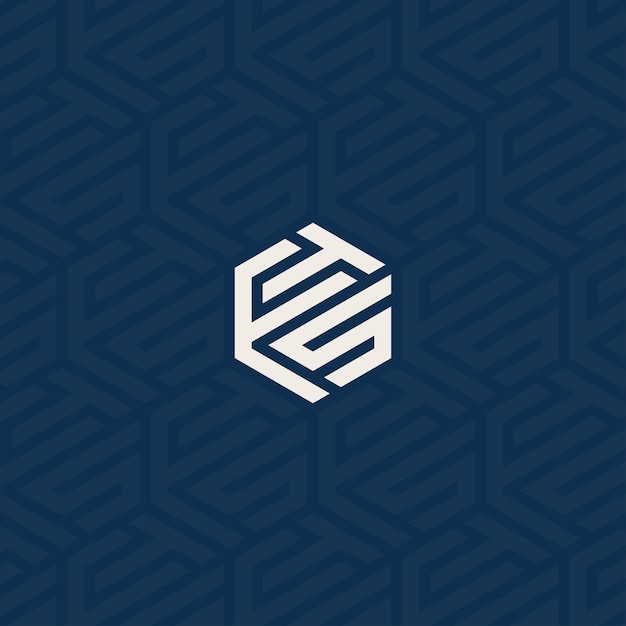 FTS logo with background pattern design