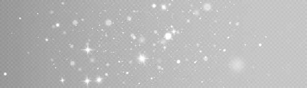 Glowing light effect with many glitter particles isolated on transparent background Vector star