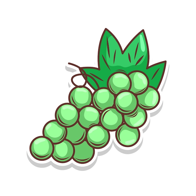 Grape fruit cartoon illustration art