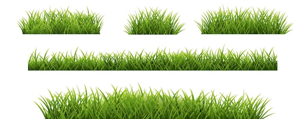 Grass Border Set And Isolated White Background