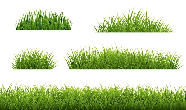 Green Grass Borders Set Isolated White Background
