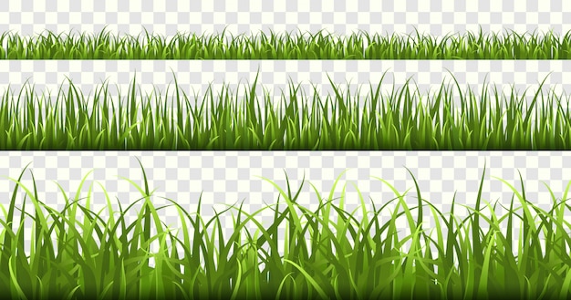 Green grass borders.