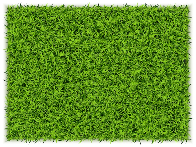 Green Grass Rectangle Background. Eco Home Concept. 3d Illustration
