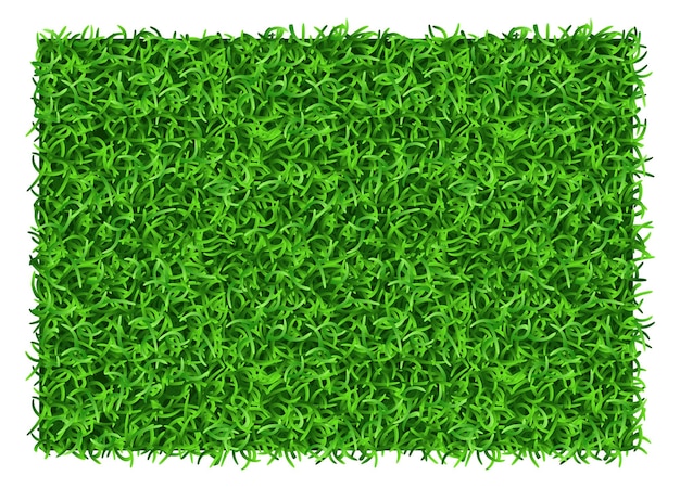 Green grass rectangle Realistic lawn patch top view