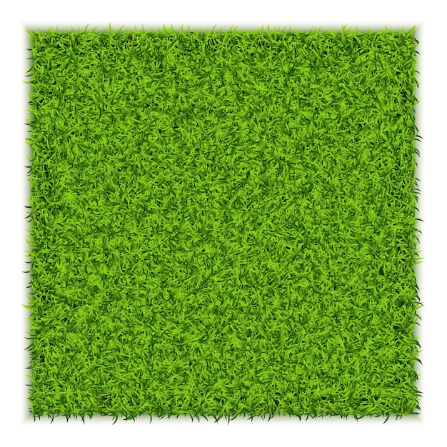 Green Grass Square illustration