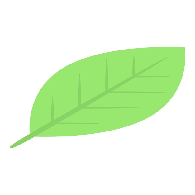 Green leaf icon Isometric of green leaf vector icon for web design isolated on white background