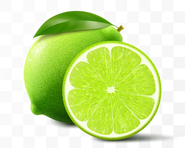 Green lime isolated on transparent background Whole lime and slice of fruit vibrant