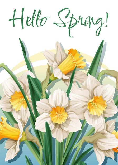 Greeting card template with spring flowers Banner poster with daffodils Easter illustration of delicate flowers in cartoon style for card invitation background etc