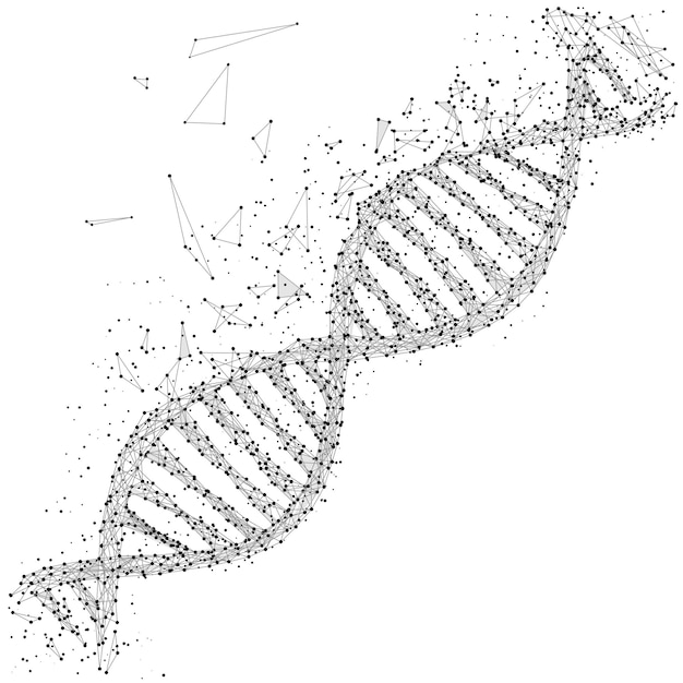 Grey DNA with polygon line on black abstract background Polygonal space low poly science art