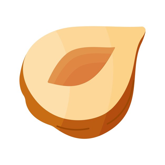 Half a hazelnut without shell peeled nut cartoon trendy flat style isolated icon