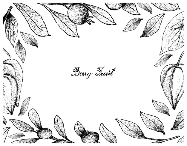 Hand Drawn Frame of Belimbing Merah and Cambui Roxo Fruits