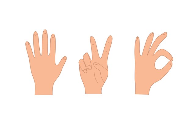 Hand gestures vector illustration set of icons of various hand signs
