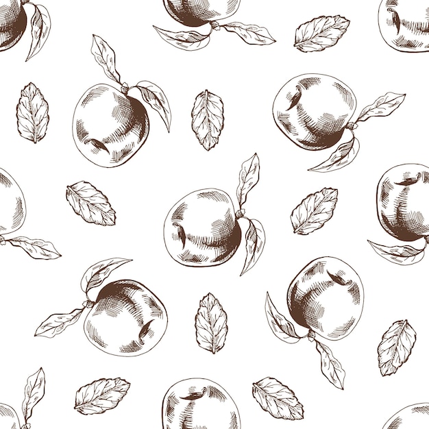 handdrawn vector seamless pattern of apples vintage doodle illustration sketch for cafe menus and labels the engraved image