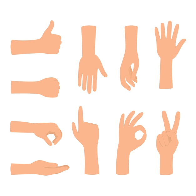 Hands gestures isolated on white background. Colored hand gesture set