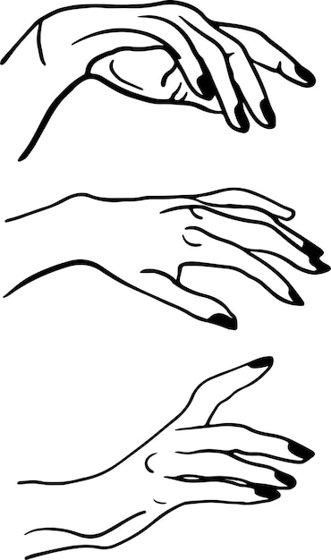 hands vector graphics various gestures of human hands are isolated on a white background