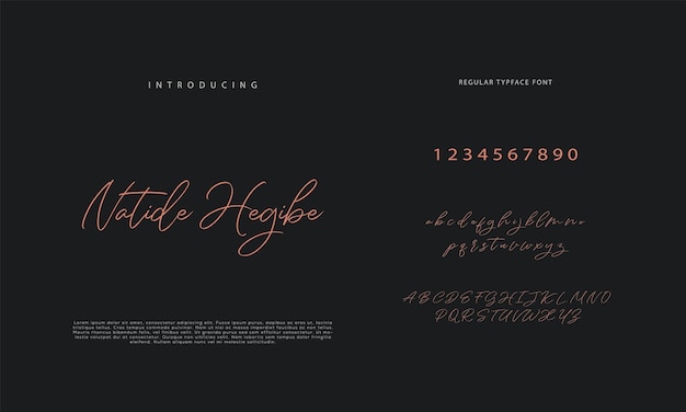 Handwritten Script font Hand drawn brush style modern calligraphy cursive typeface Hand Lettering