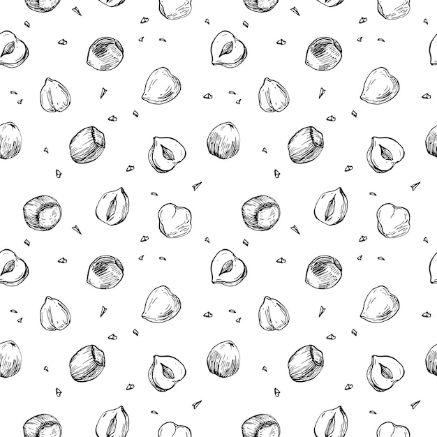 Hazelnuts vector seamless pattern hand drawn with ink whole and cut hazelnut kernels