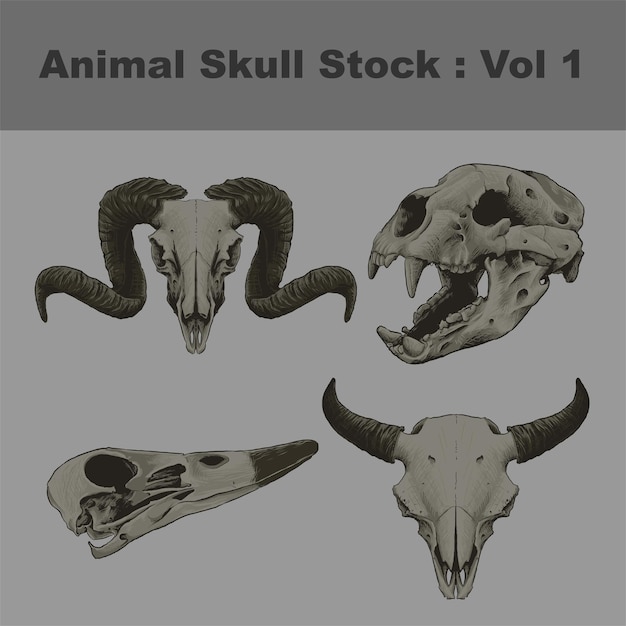 Head Goat Bear Buffalo Swan Animal Skull Realistic Vector Drawing Illustration