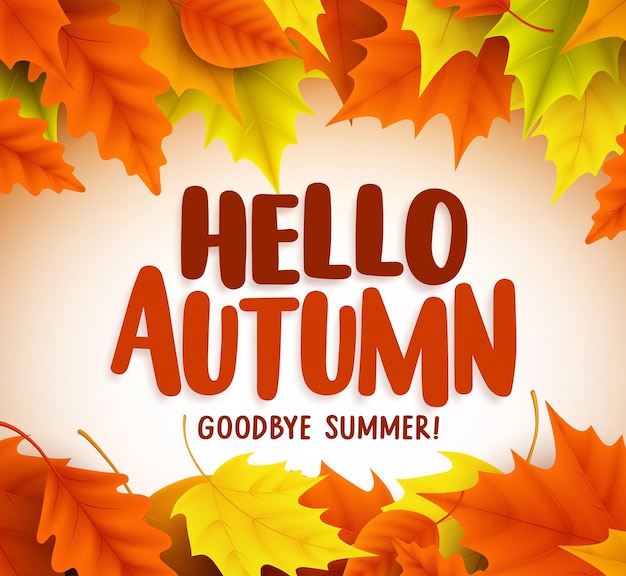 hello autumn text greetings in vector banner design with colorful maple leaves in white background