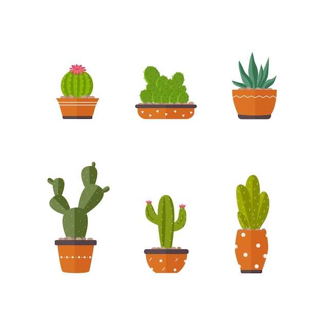 Home plants cactus in pots and with flowers Cactus icons flat style isolated on white background