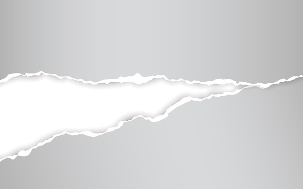 horizontal torn paper edge. ripped squared horizontal   paper strips.  