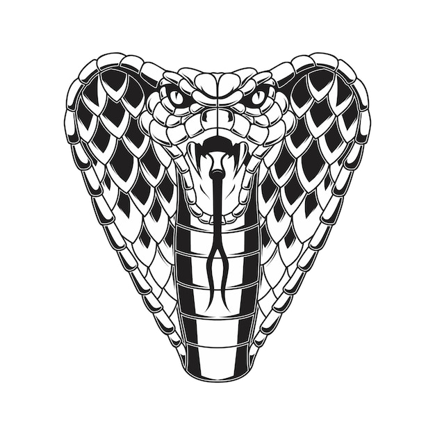 Illustration of cobra snake Design element for logo label sign emblem poster Vector illustration