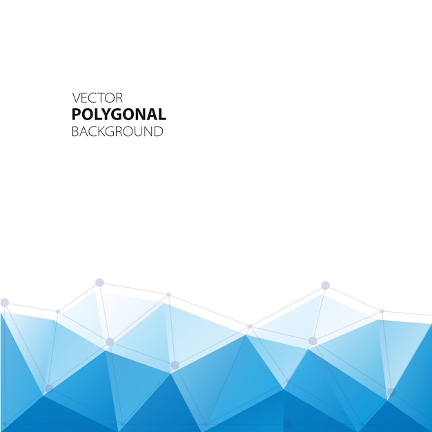 Isolated vector pattern abstract composition polygonal construction connections and lines wireframe