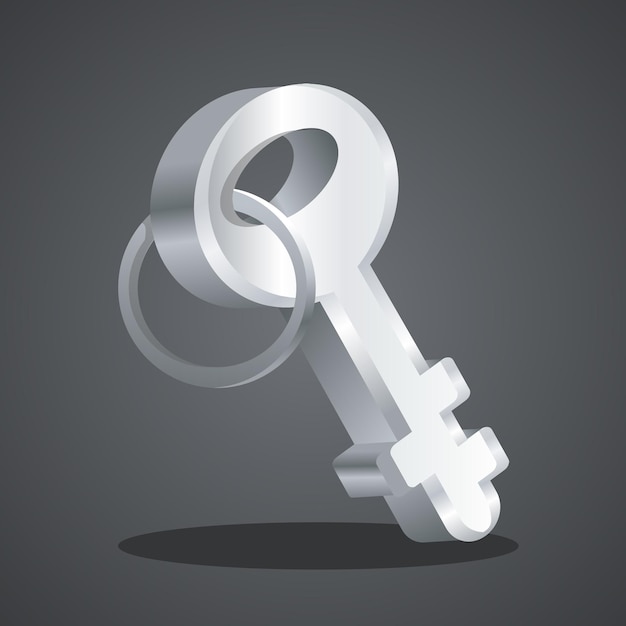 Key icon