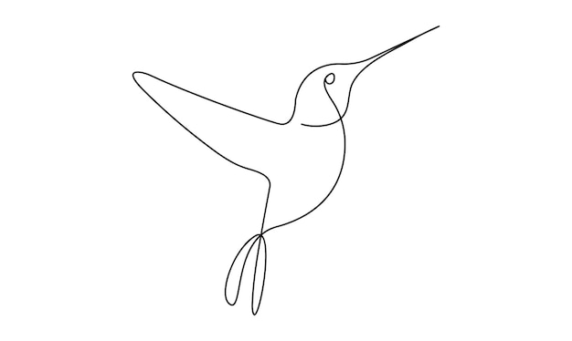 Kolibrit Yhtenäinen yksi viiva piirustus eristettynä valkoisella taustalla, paras käyttö logobannerille