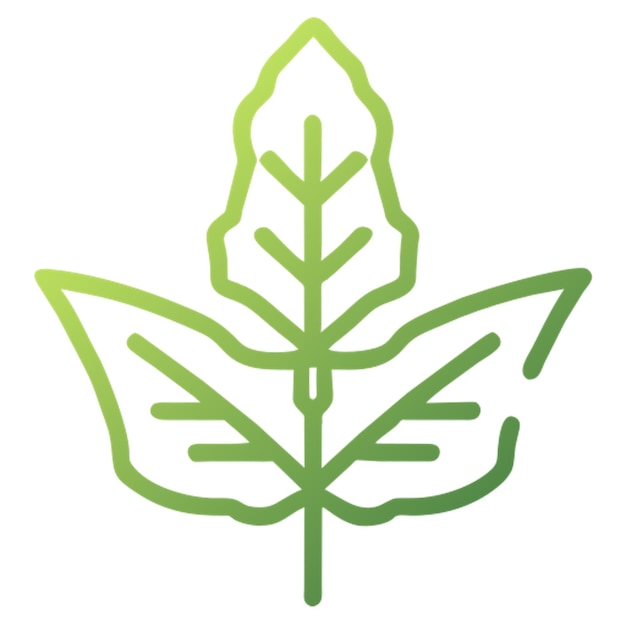 leaf icon outline gradient
