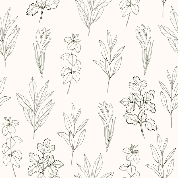 Line art herbs and spices background