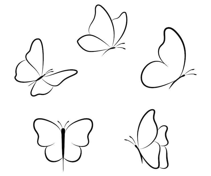 Vektori linear butterfly outline collection hand drawn illustration isolated on white