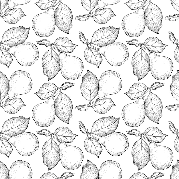 Linear graphics black on white background Drawn pears on a branch seamless pattern Design for textiles paper wallpaper