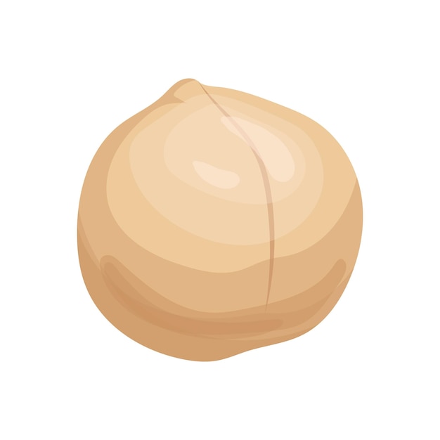 Macadamia healthy nut cartoon vector illustration