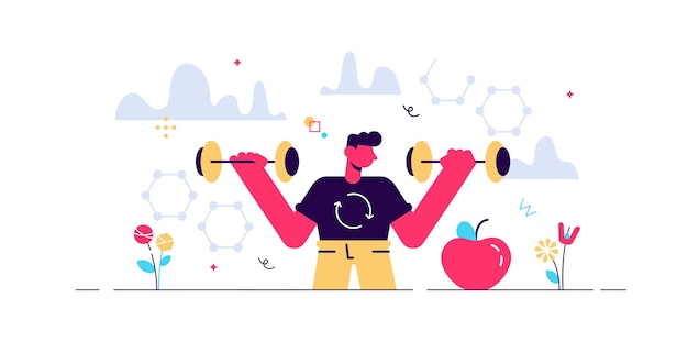 Male metabolism  illustration. Food to energy process.