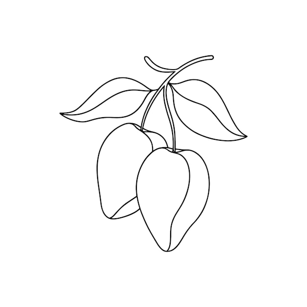 Mango with leaves Continuous line art flat vector illustration