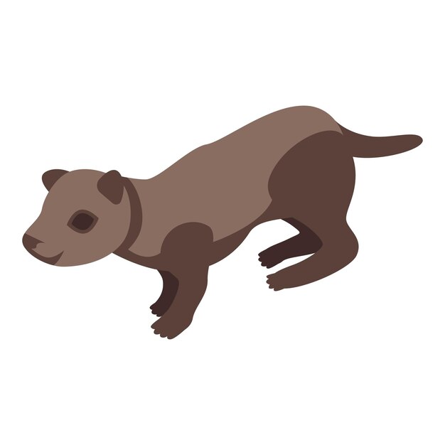 Mink icon Isometric of mink vector icon for web design isolated on white background
